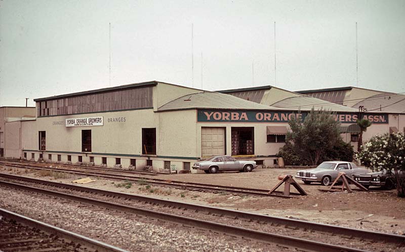 yorba growers