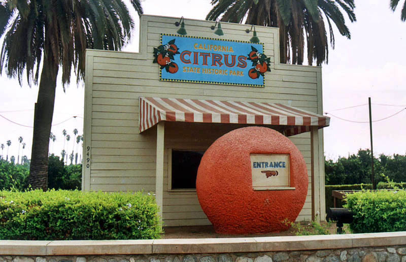 citruspark